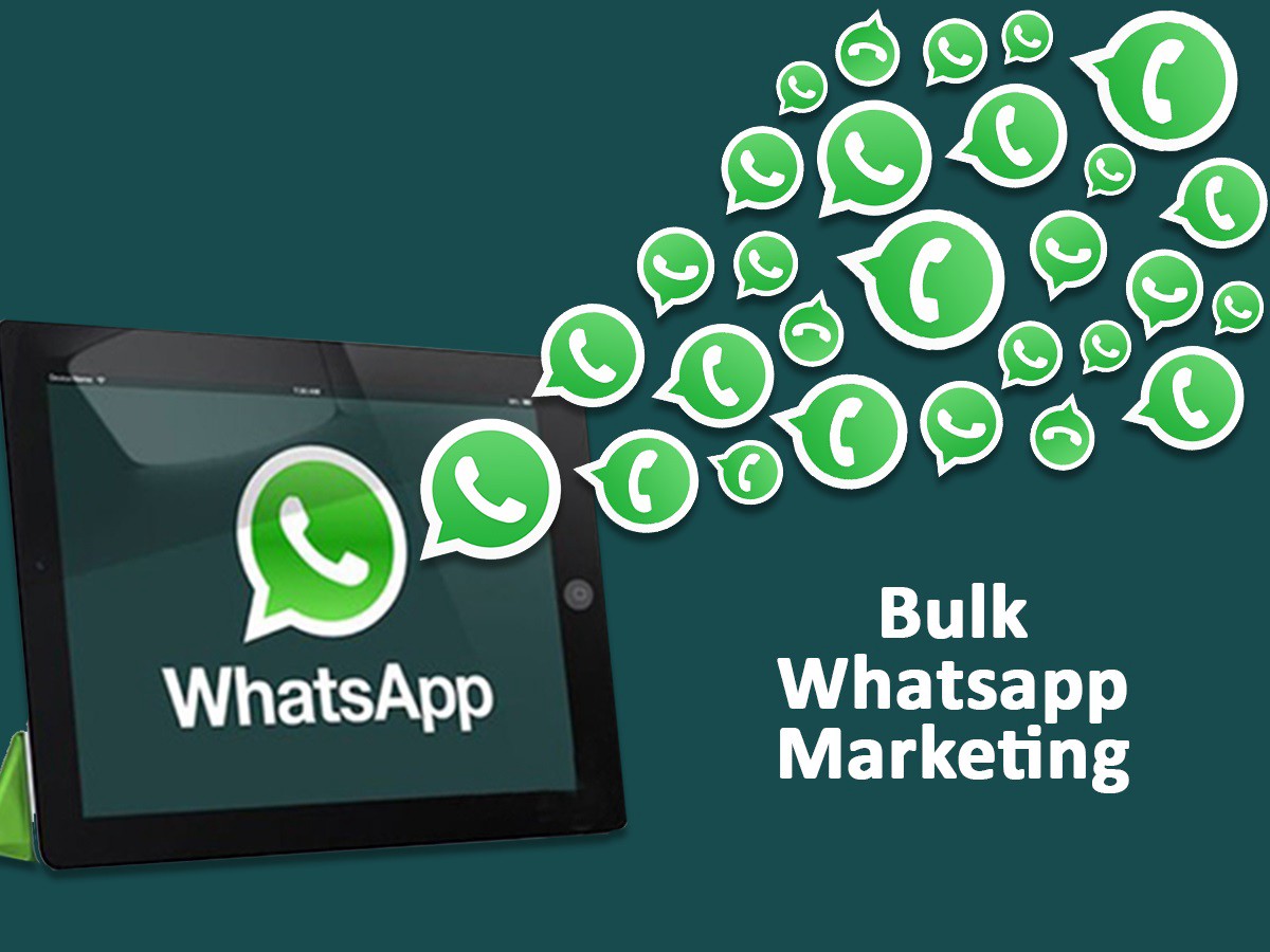 Whatsapp API Provider in Nipani